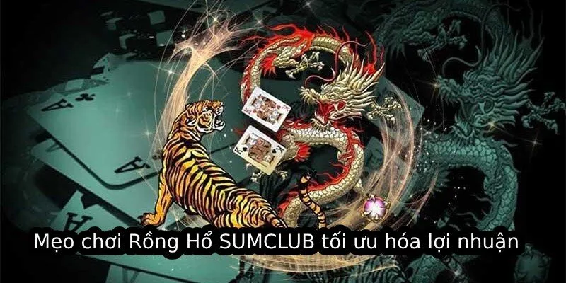 Mẹo chơi Rồng Hổ SUMCLUB tối ưu hóa lợi nhuận