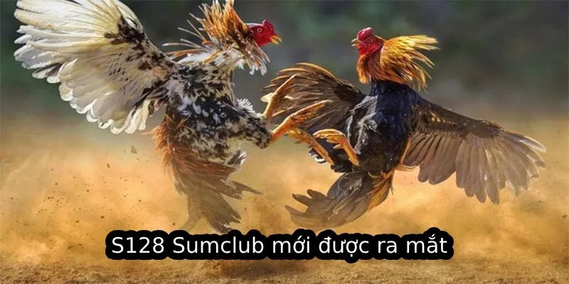 S128 Sumclub mới được ra mắt